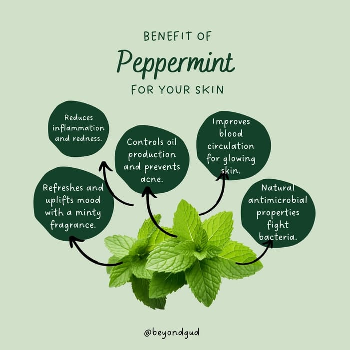 Peppermint-Cocoa-Soap-3.jpg